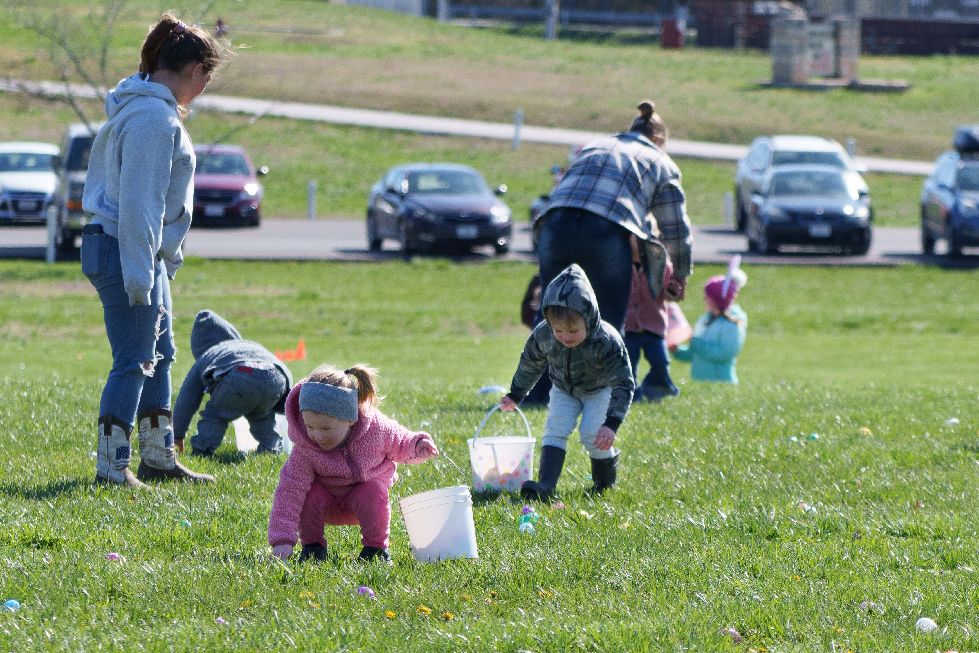 Photo of eggs being hunted among dandelions.